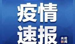 澳门政府最新爆料信息网,揭秘网络信息平台背后的真相